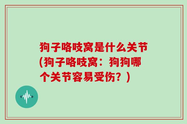 狗子咯吱窝是什么关节(狗子咯吱窝：狗狗哪个关节容易受伤？)