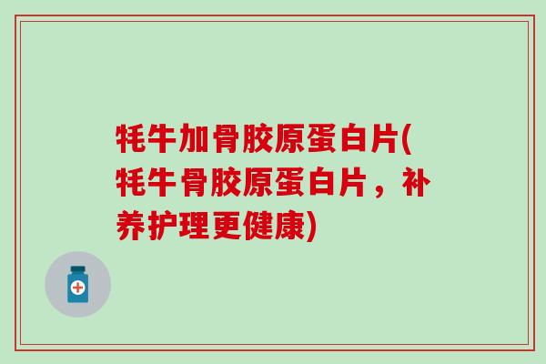牦牛加骨胶原蛋白片(牦牛骨胶原蛋白片,补养护理更健康) 牦牛加骨胶原蛋白片(牦牛骨胶原蛋白片,补养护理更健康)