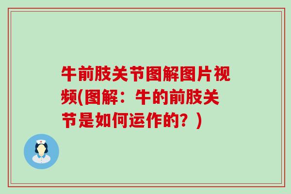 牛前肢关节图解图片视频(图解：牛的前肢关节是如何运作的？)