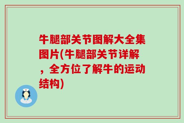 牛腿部关节图解大全集图片(牛腿部关节详解,全方位了解牛的运动结构) 牛腿部关节图解大全集图片(牛腿部关节详解,全方位了解牛的运动结构)