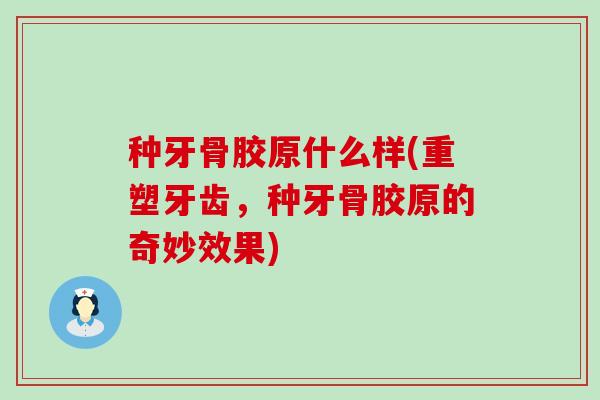 种牙骨胶原什么样(重塑牙齿,种牙骨胶原的奇妙效果) 种牙骨胶原什么样(重塑牙齿,种牙骨胶原的奇妙效果)