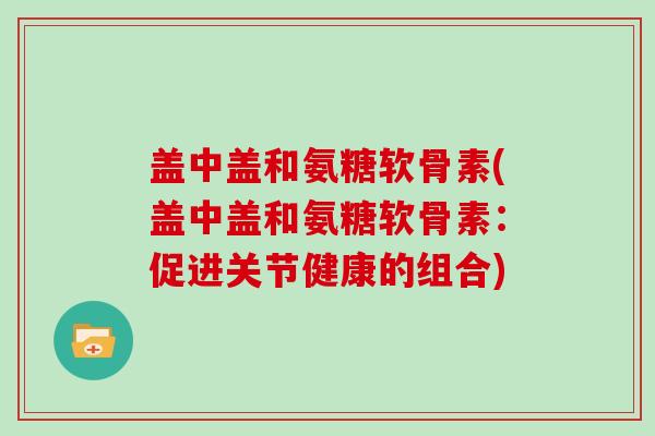 盖中盖和氨糖软骨素(盖中盖和氨糖软骨素：促进关节健康的组合)