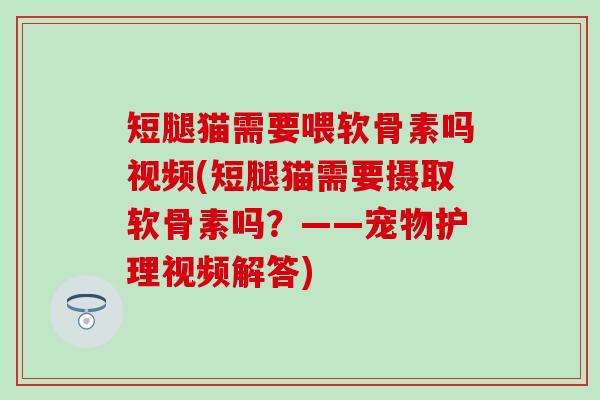 短腿猫需要喂软骨素吗视频(短腿猫需要摄取软骨素吗？——宠物护理视频解答)