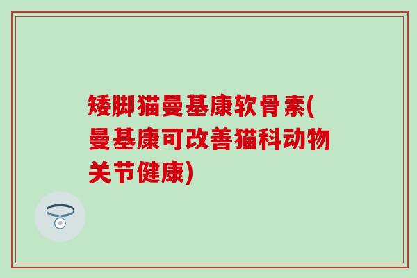 矮脚猫曼基康软骨素(曼基康可改善猫科动物关节健康) 矮脚猫曼基康软骨素(曼基康可改善猫科动物关节健康)