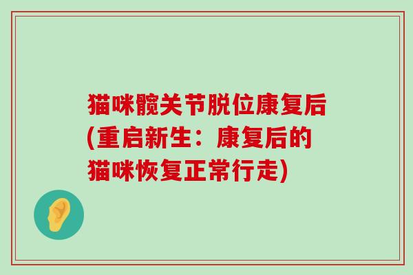 猫咪髋关节脱位康复后(重启新生:康复后的猫咪恢复正常行走) 猫咪髋关节脱位康复后(重启新生:康复后的猫咪恢复正常行走)