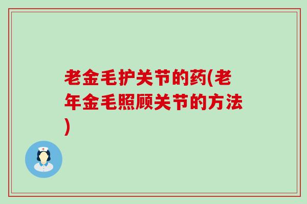 老金毛护关节的药(老年金毛照顾关节的方法) 老金毛护关节的药(老年金毛照顾关节的方法)