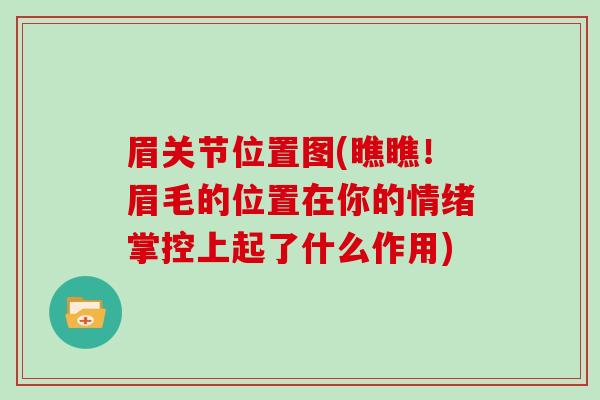 眉关节位置图(瞧瞧！眉毛的位置在你的情绪掌控上起了什么作用)