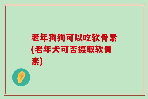 老年狗狗可以吃软骨素(老年犬可否摄取软骨素) 老年狗狗可以吃软骨素(老年犬可否摄取软骨素)
