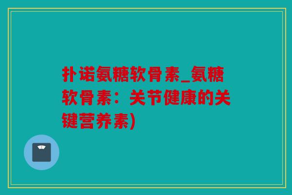 扑诺氨糖软骨素_氨糖软骨素：关节健康的关键营养素)
