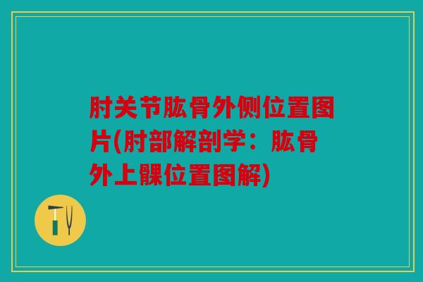 肘关节肱骨外侧位置图片(肘部解剖学:肱骨外上髁位置图解) 肘关节肱骨外侧位置图片(肘部解剖学:肱骨外上髁位置图解)