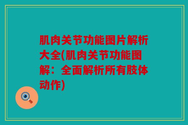 肌肉关节功能图片解析大全(肌肉关节功能图解：全面解析所有肢体动作)