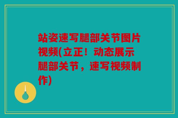站姿速写腿部关节图片视频(立正!动态展示腿部关节,速写视频制作) 站姿速写腿部关节图片视频(立正!动态展示腿部关节,速写视频制作)