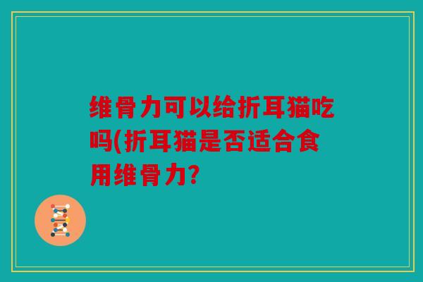 维骨力可以给折耳猫吃吗(折耳猫是否适合食用维骨力？