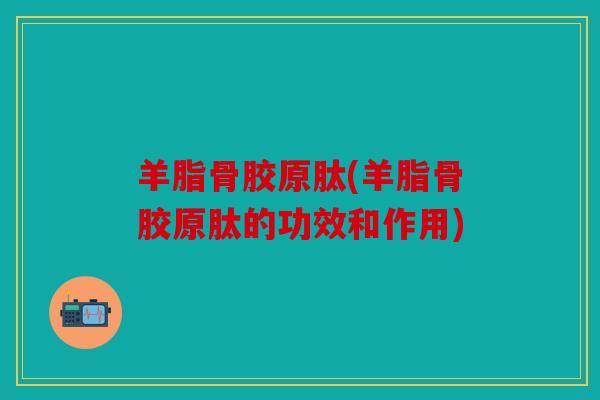 羊脂骨胶原肽(羊脂骨胶原肽的功效和作用) 羊脂骨胶原肽(羊脂骨胶原肽的功效和作用)
