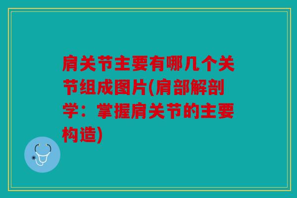 肩关节主要有哪几个关节组成图片(肩部解剖学:掌握肩关节的主要构造) 肩关节主要有哪几个关节组成图片(肩部解剖学:掌握肩关节的主要构造)