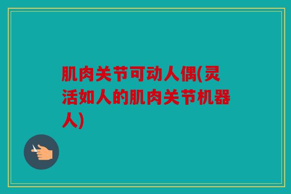 肌肉关节可动人偶(灵活如人的肌肉关节机器人) 肌肉关节可动人偶(灵活如人的肌肉关节机器人)