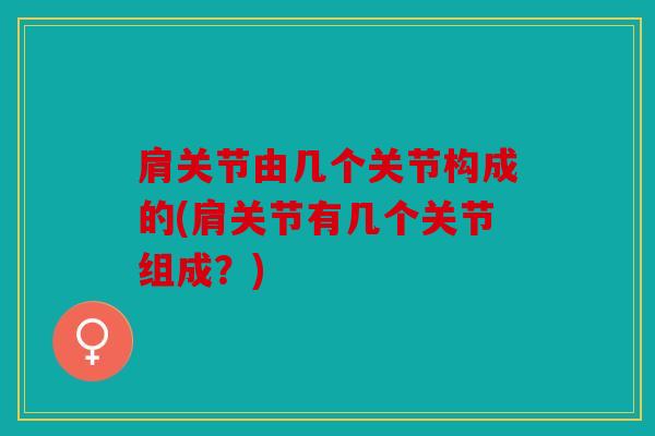 肩关节由几个关节构成的(肩关节有几个关节组成？)