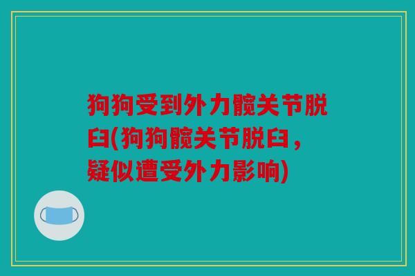 狗狗受到外力髋关节脱臼(狗狗髋关节脱臼,疑似遭受外力影响) 狗狗受到外力髋关节脱臼(狗狗髋关节脱臼,疑似遭受外力影响)