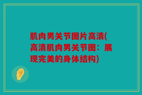 肌肉男关节图片高清(高清肌肉男关节图：展现完美的身体结构)