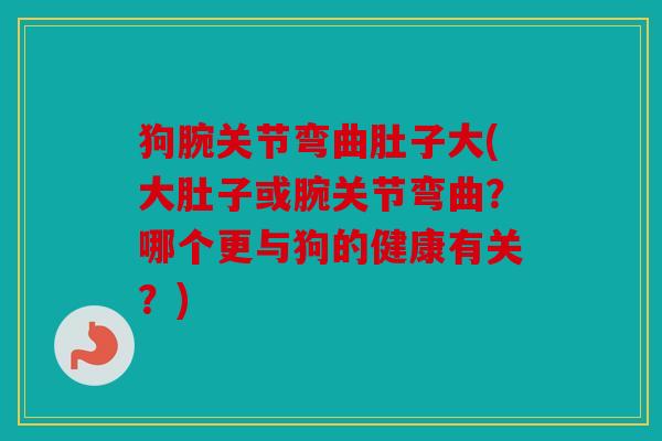 狗腕关节弯曲肚子大(大肚子或腕关节弯曲?哪个更与狗的健康有关?) 狗腕关节弯曲肚子大(大肚子或腕关节弯曲?哪个更与狗的健康有关?)