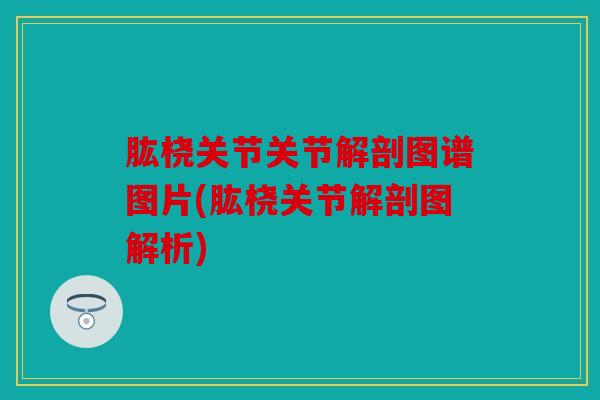 肱桡关节关节解剖图谱图片(肱桡关节解剖图解析)