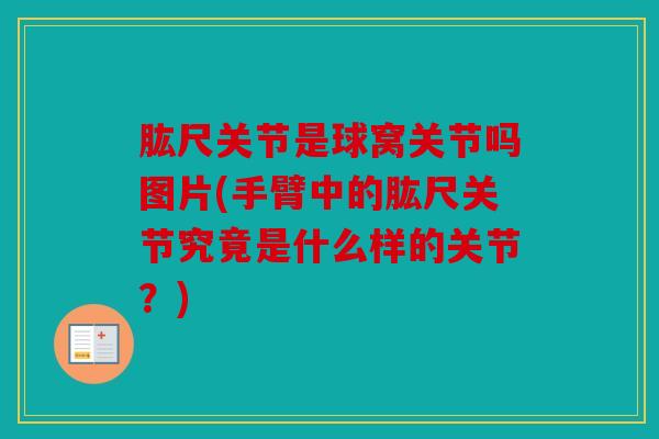 肱尺关节是球窝关节吗图片(手臂中的肱尺关节究竟是什么样的关节?) 肱尺关节是球窝关节吗图片(手臂中的肱尺关节究竟是什么样的关节?)
