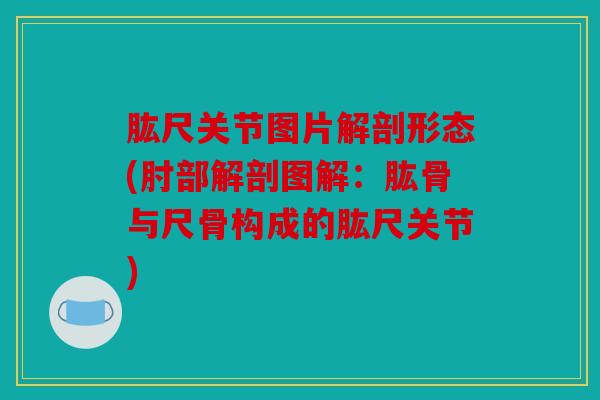 肱尺关节图片解剖形态(肘部解剖图解：肱骨与尺骨构成的肱尺关节)