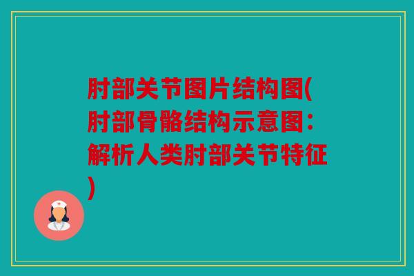 肘部关节图片结构图(肘部骨骼结构示意图:解析人类肘部关节特征) 肘部关节图片结构图(肘部骨骼结构示意图:解析人类肘部关节特征)