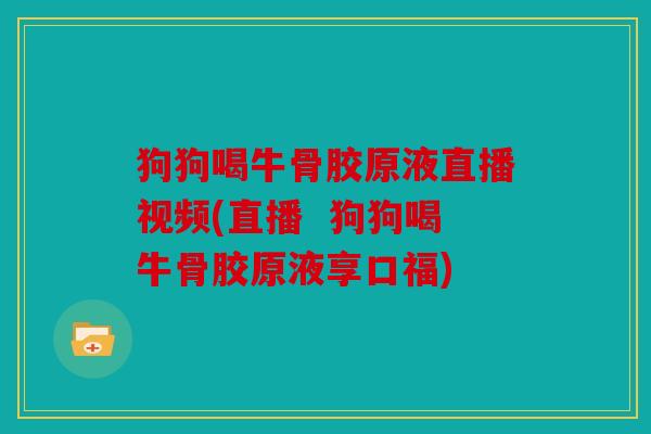 狗狗喝牛骨胶原液直播视频(直播 狗狗喝牛骨胶原液享口福) 狗狗喝牛骨胶原液直播视频(直播 狗狗喝牛骨胶原液享口福)
