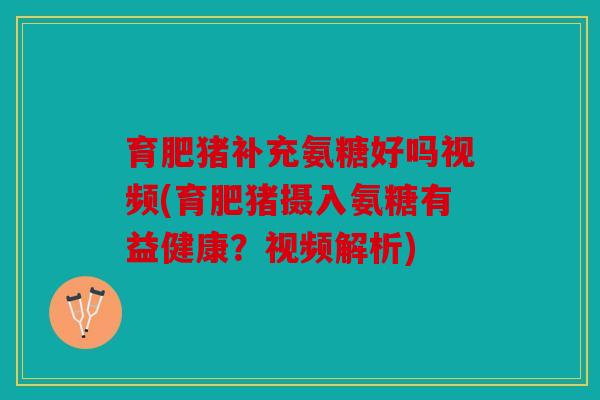 育肥猪补充氨糖好吗视频(育肥猪摄入氨糖有益健康?视频解析) 育肥猪补充氨糖好吗视频(育肥猪摄入氨糖有益健康?视频解析)