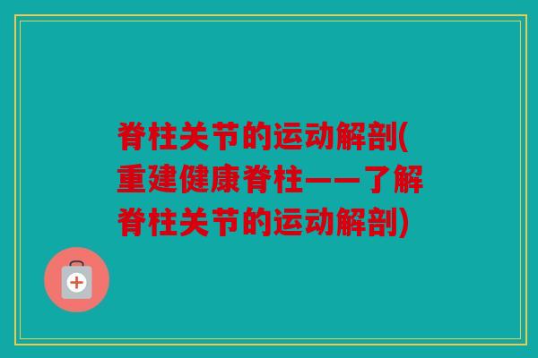 脊柱关节的运动解剖(重建健康脊柱——了解脊柱关节的运动解剖) 脊柱关节的运动解剖(重建健康脊柱——了解脊柱关节的运动解剖)