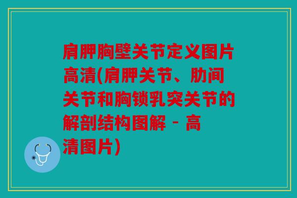肩胛胸壁关节定义图片高清(肩胛关节、肋间关节和胸锁乳突关节的解剖结构图解 - 高清图片) 肩胛胸壁关节定义图片高清(肩胛关节、肋间关节和胸锁乳突关节的解剖结构图解 - 高清图片)