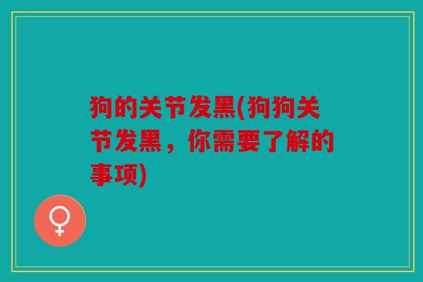 狗的关节发黑(狗狗关节发黑，你需要了解的事项)