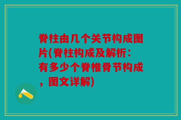 脊柱由几个关节构成图片(脊柱构成及解析:有多少个脊椎骨节构成,图文详解) 脊柱由几个关节构成图片(脊柱构成及解析:有多少个脊椎骨节构成,图文详解)