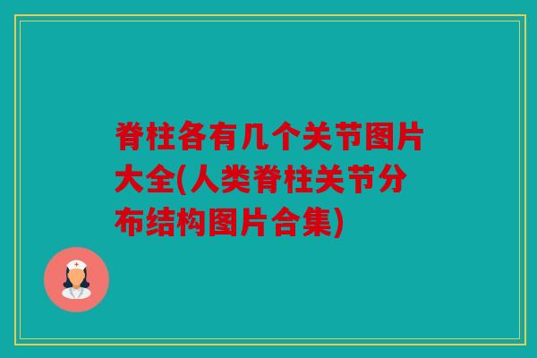 脊柱各有几个关节图片大全(人类脊柱关节分布结构图片合集) 脊柱各有几个关节图片大全(人类脊柱关节分布结构图片合集)