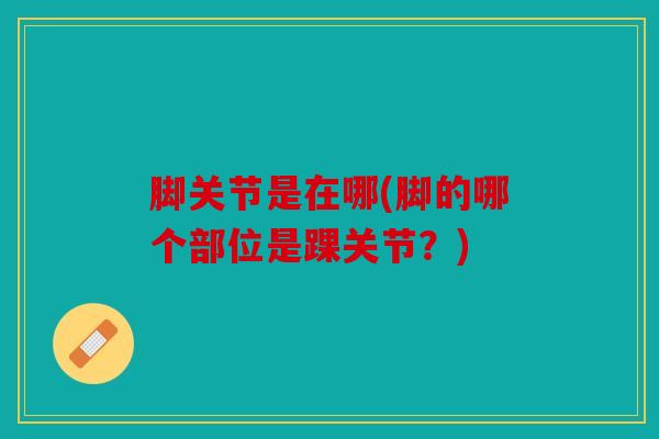 脚关节是在哪(脚的哪个部位是踝关节?) 脚关节是在哪(脚的哪个部位是踝关节?)