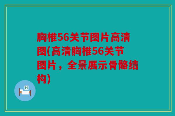 胸椎56关节图片高清图(高清胸椎56关节图片,全景展示骨骼结构) 胸椎56关节图片高清图(高清胸椎56关节图片,全景展示骨骼结构)