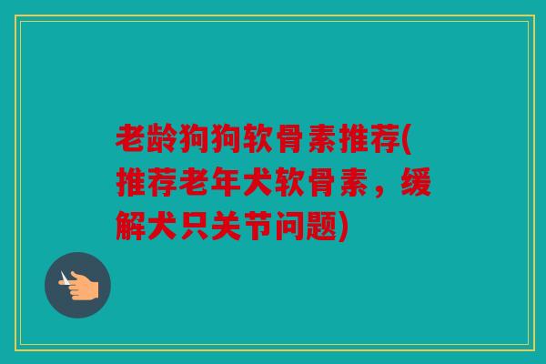 老龄狗狗软骨素推荐(推荐老年犬软骨素，缓解犬只关节问题)