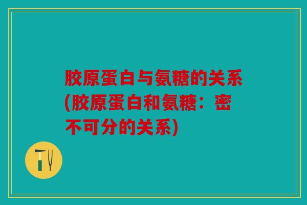 胶原蛋白与氨糖的关系(胶原蛋白和氨糖：密不可分的关系)