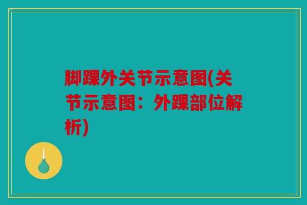 脚踝外关节示意图(关节示意图:外踝部位解析) 脚踝外关节示意图(关节示意图:外踝部位解析)