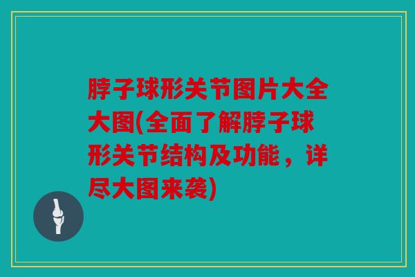脖子球形关节图片大全大图(全面了解脖子球形关节结构及功能，详尽大图来袭)