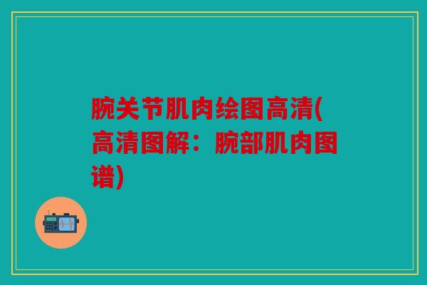 腕关节肌肉绘图高清(高清图解:腕部肌肉图谱) 腕关节肌肉绘图高清(高清图解:腕部肌肉图谱)