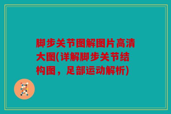 脚步关节图解图片高清大图(详解脚步关节结构图，足部运动解析)