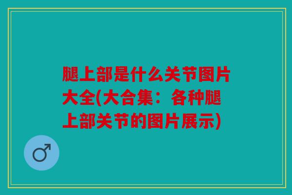 腿上部是什么关节图片大全(大合集：各种腿上部关节的图片展示)
