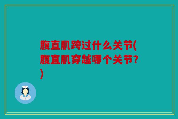 腹直肌跨过什么关节(腹直肌穿越哪个关节?) 腹直肌跨过什么关节(腹直肌穿越哪个关节?)