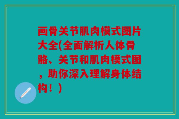画骨关节肌肉模式图片大全(全面解析人体骨骼、关节和肌肉模式图，助你深入理解身体结构！)