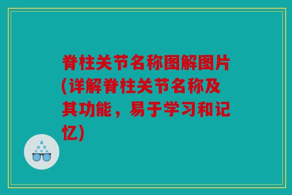 脊柱关节名称图解图片(详解脊柱关节名称及其功能，易于学习和记忆)