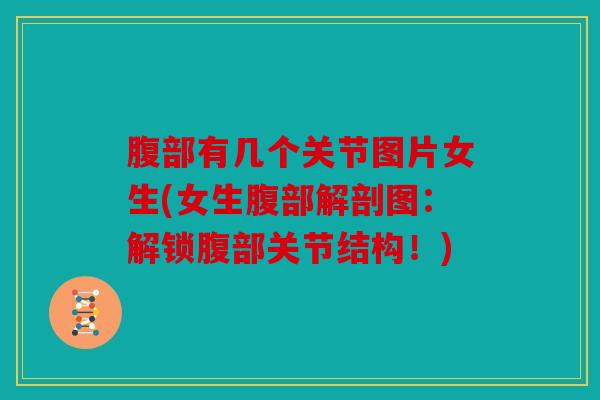 腹部有几个关节图片女生(女生腹部解剖图:解锁腹部关节结构!) 腹部有几个关节图片女生(女生腹部解剖图:解锁腹部关节结构!)