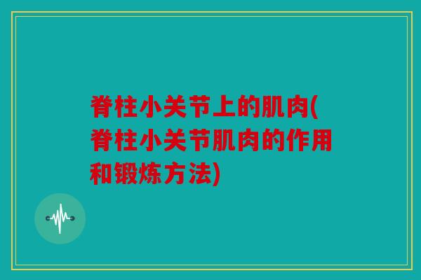 脊柱小关节上的肌肉(脊柱小关节肌肉的作用和锻炼方法)