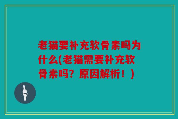 老猫要补充软骨素吗为什么(老猫需要补充软骨素吗？原因解析！)